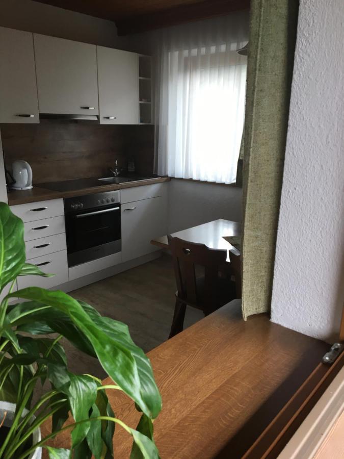 Landhaus Theresia Apartment Fügen Екстериор снимка
